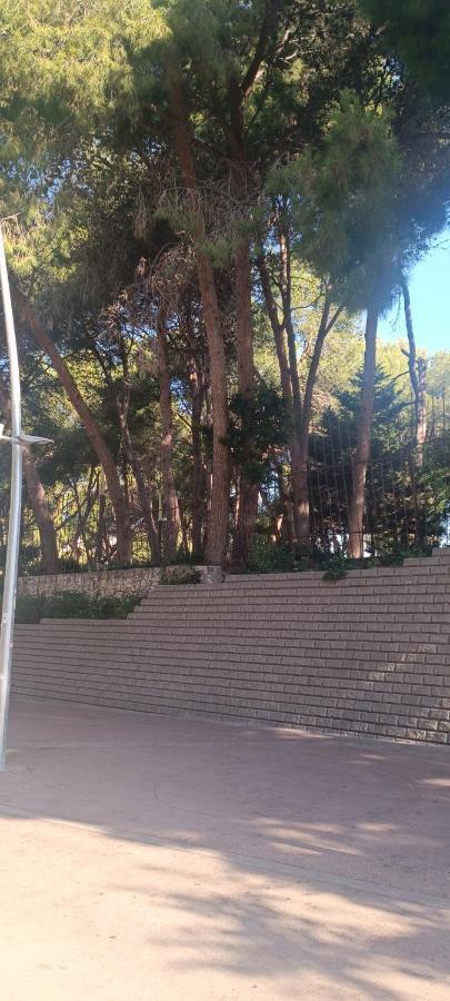 Chez Chantal 3 Chambres Au Centre Touristique De Salou Avec Garage Eksteriør billede