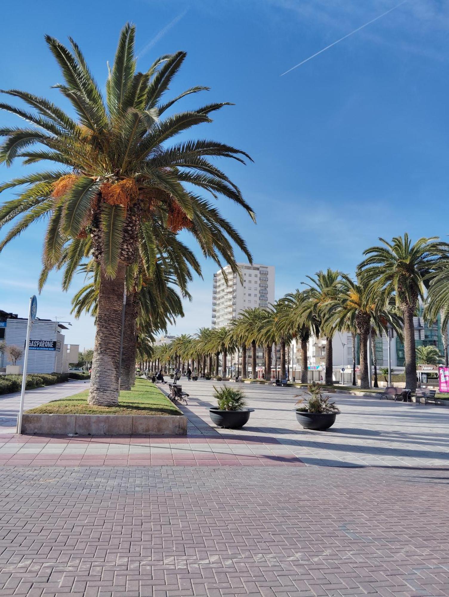 Chez Chantal 3 Chambres Au Centre Touristique De Salou Avec Garage Eksteriør billede